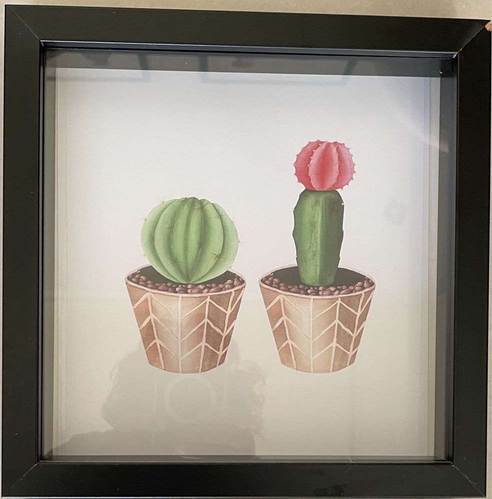 Quadros de Cactus