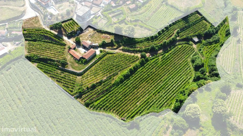 Quinta Eira Vedra Lixa