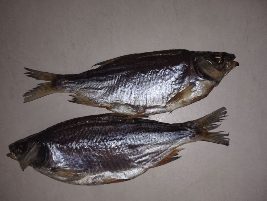 Тарань   икряна !