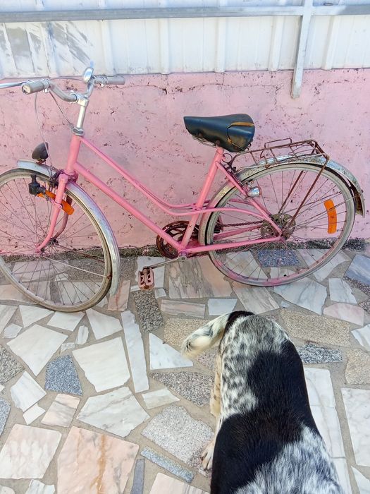 Bicicleta pasteleira em bom estado
