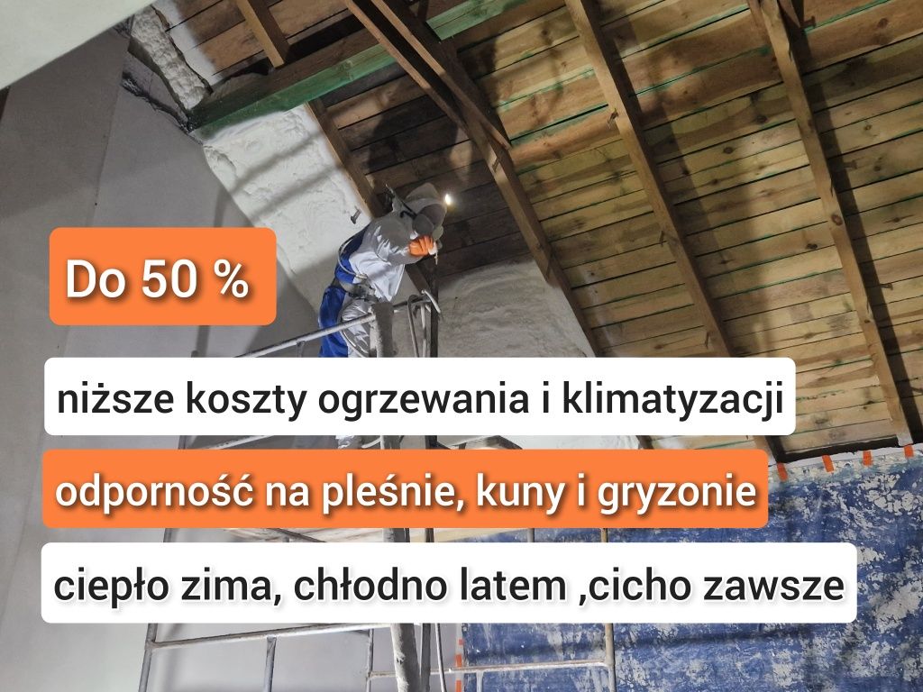 Ocieplenia Pianą PUR, Ocieplania poddasza, Pianka PUR, celuloza, wełna