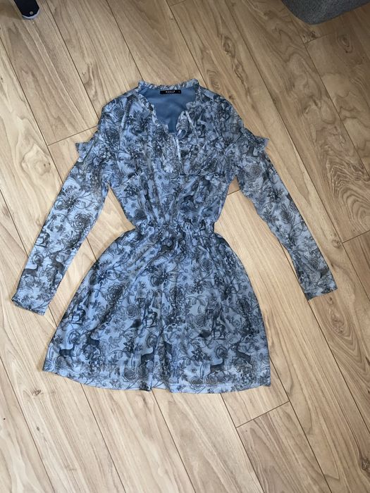 Syknia mohito Animals