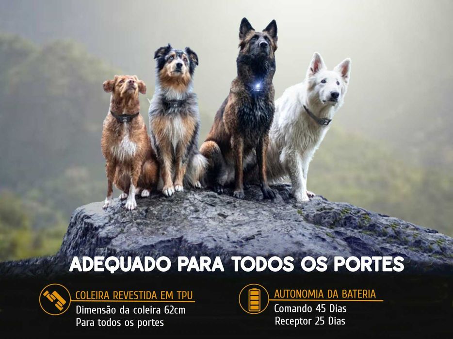 Coleira adestramento à distância para 2 cães alcance de 1000 metros