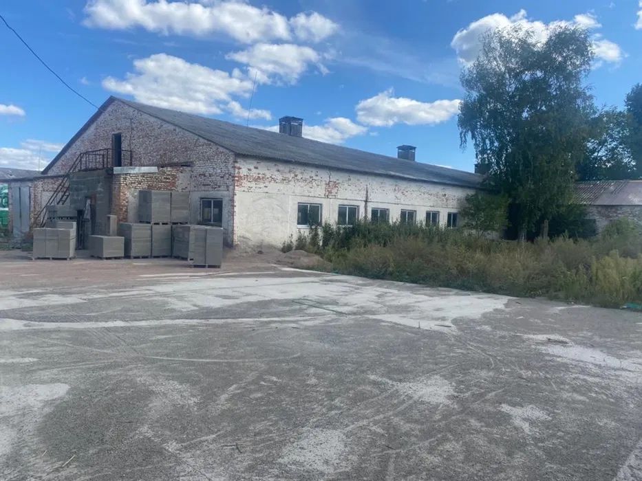 Приміщення виробничо- складські, корівники, свинарники