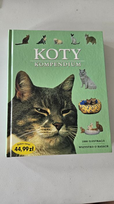 Koty komendium książka