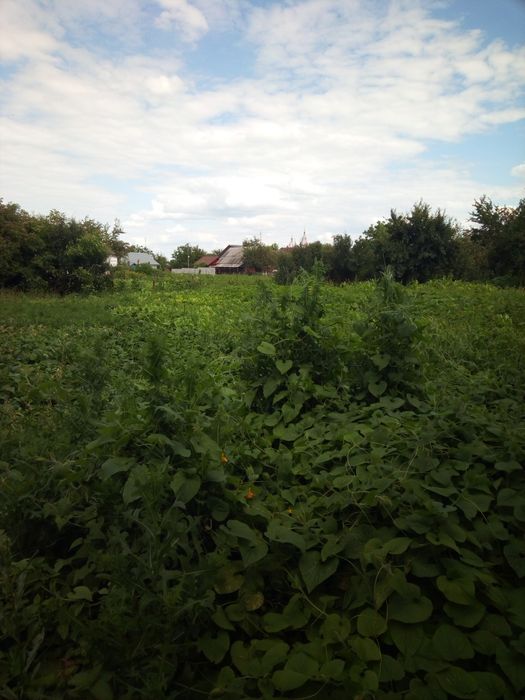 Земельна ділянка з будинком торг.