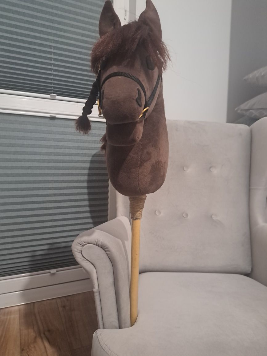 Hobby horse i sprzęt