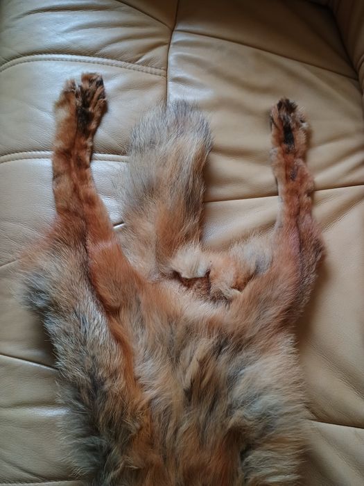 Naturalny szal/kołnierz z futra lisa rudego