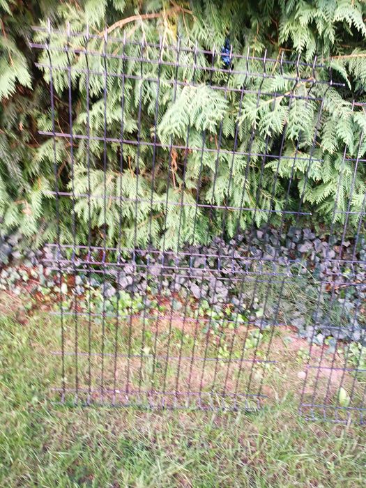 Przęsło ogrodzeniowe, Fi5, nowe