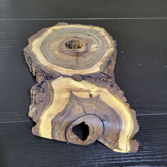 Plastry drewna, egzotyczne orzech włoski