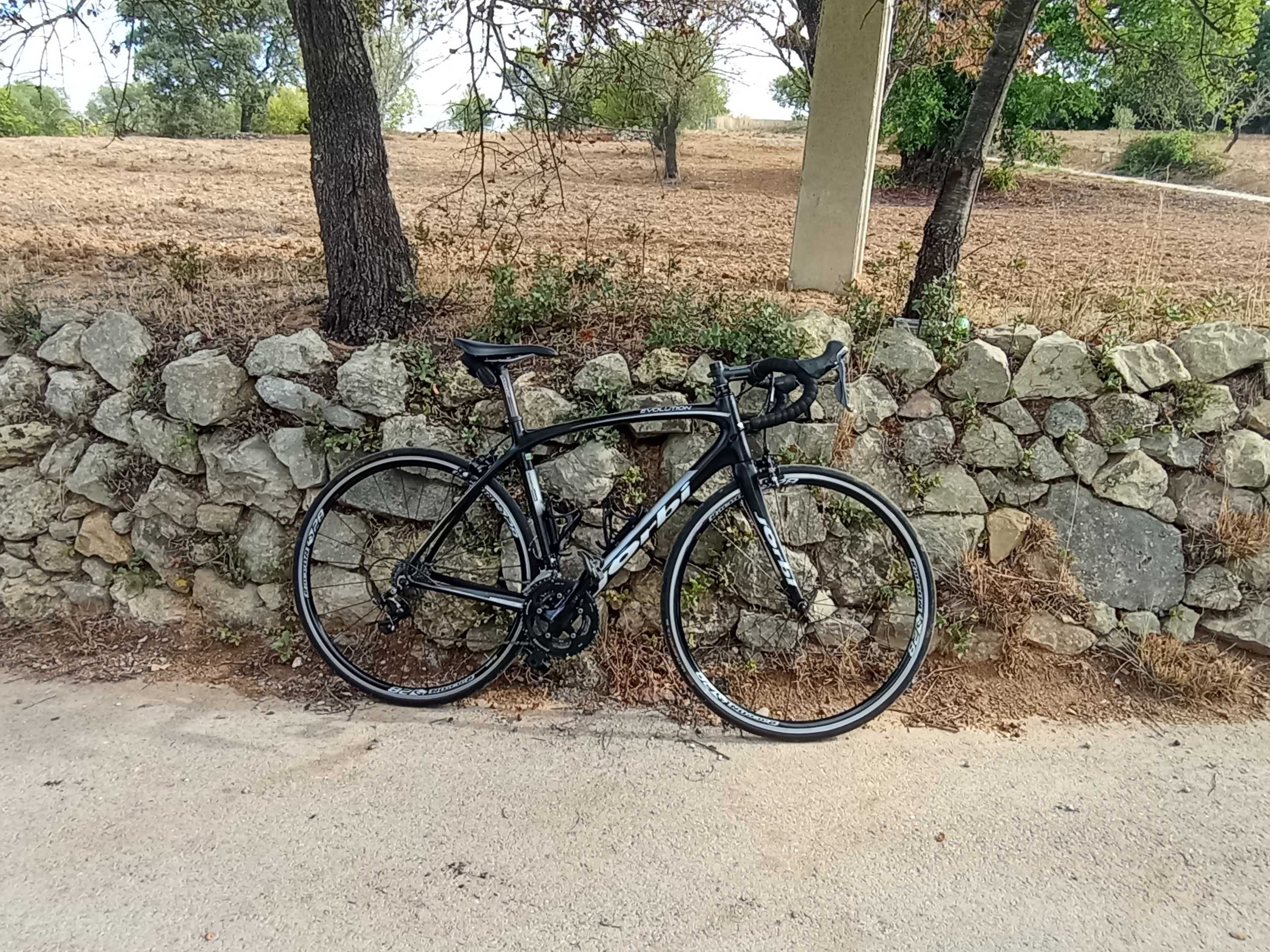 Bicicleta de ciclismo Jorbi carbono