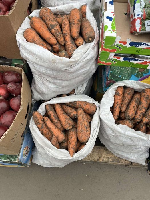 Овочі, Картопля Цибуля,Моркв  ,Буряк столовий,.