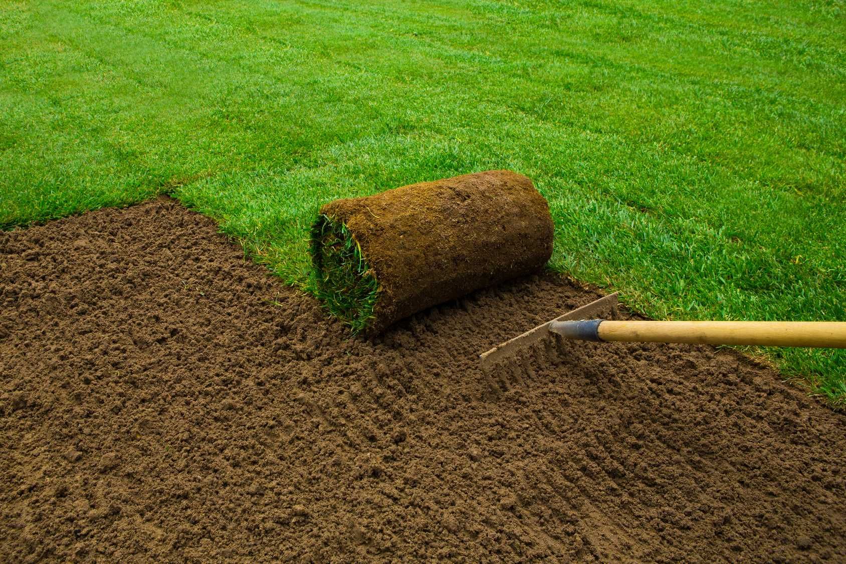 Trawa z rolki / trawnik z siewu/ usługi ogrodnicze/czyszczenie działek