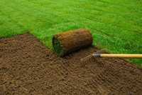 Trawa z rolki / trawnik z siewu/ usługi ogrodnicze/czyszczenie działek