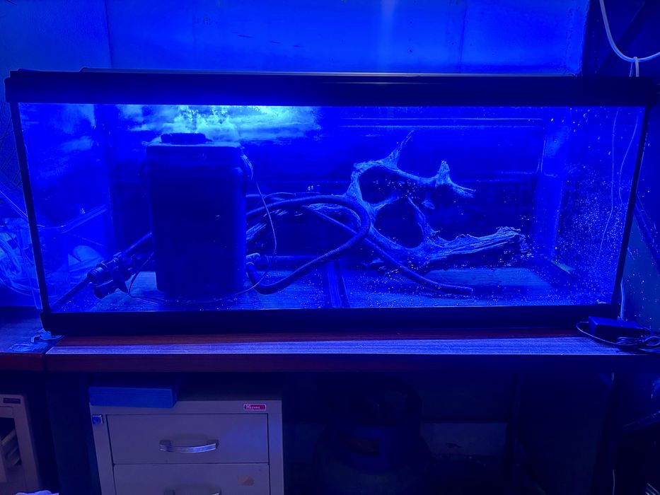 Aquario Completo 240Litros