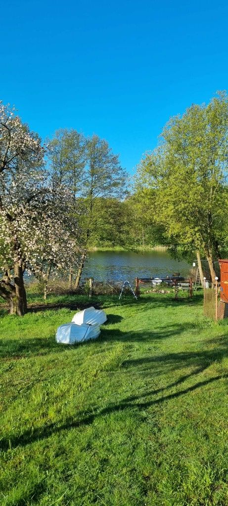 Wypoczynek,jezioro ryby,wędkowanie