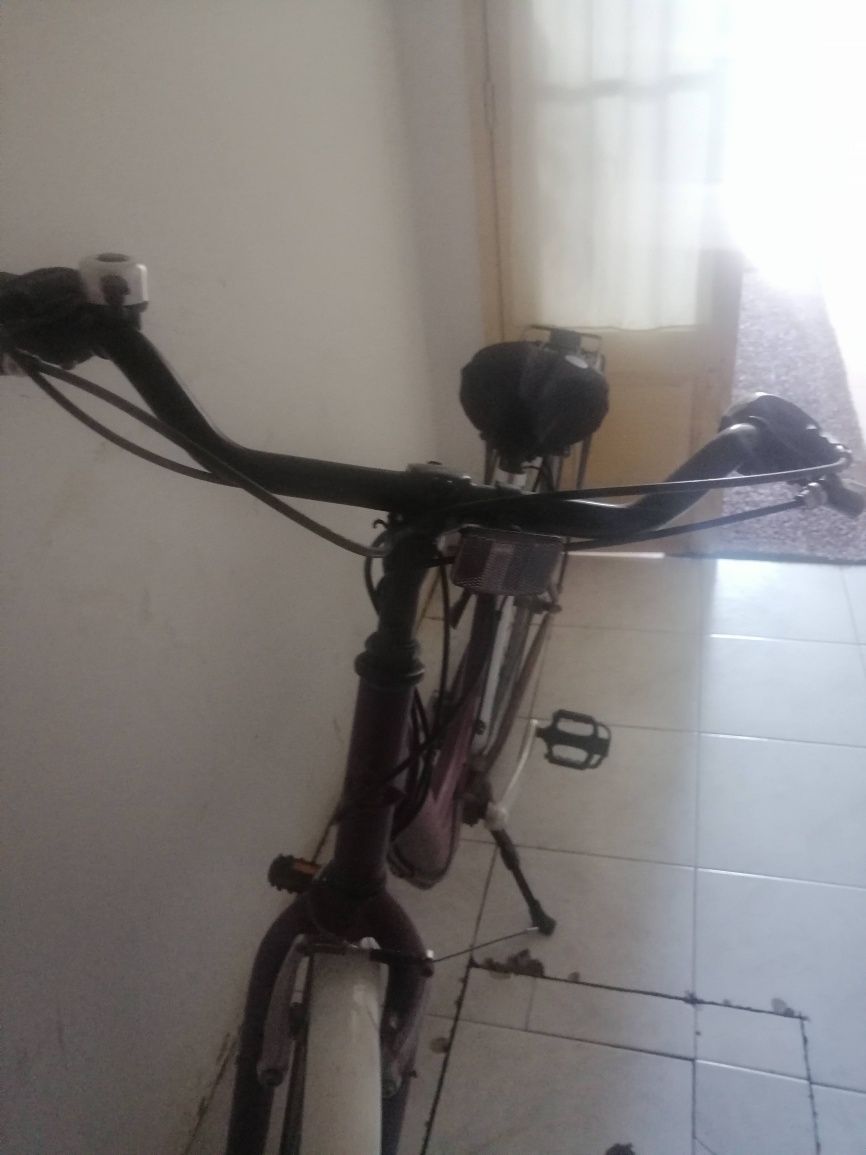Bicicleta vintage