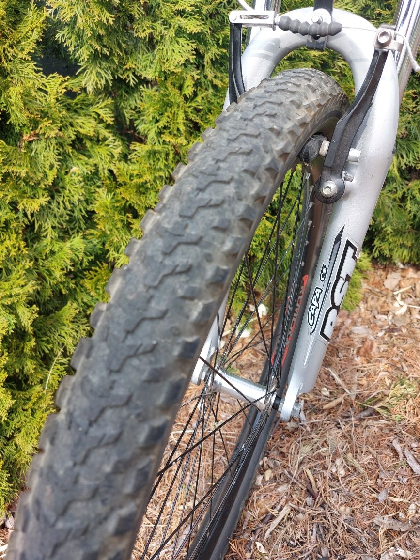 Rower MTB Arkus VIP 1001