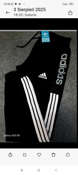 Spodnie męskie, dresowe