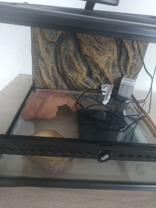 Terrarium typowo dla Gekona