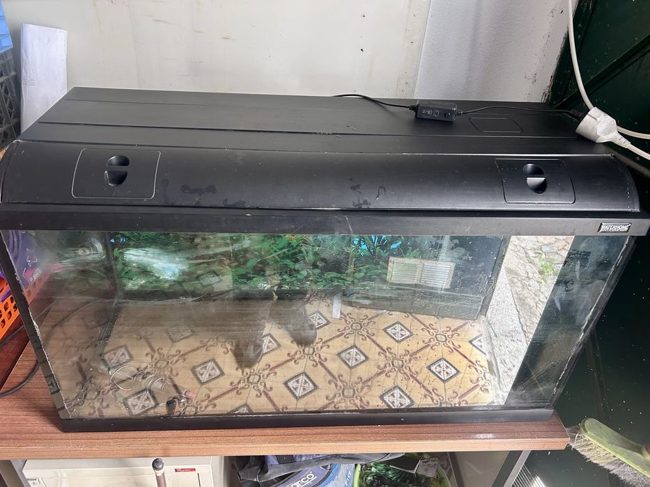Aquario 200Litros