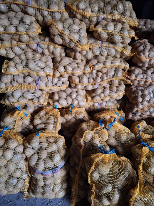 Ziemniaki w woreczkach 15 kg