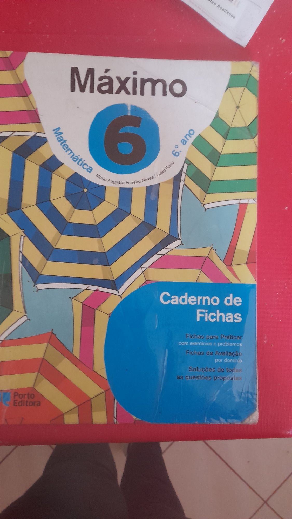 Máximo Aluno 6 caderno actividades