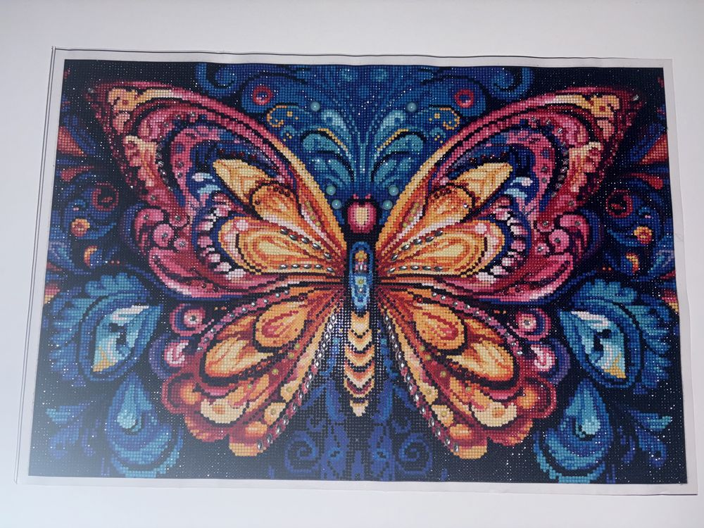 Obraz kolorowy motyl