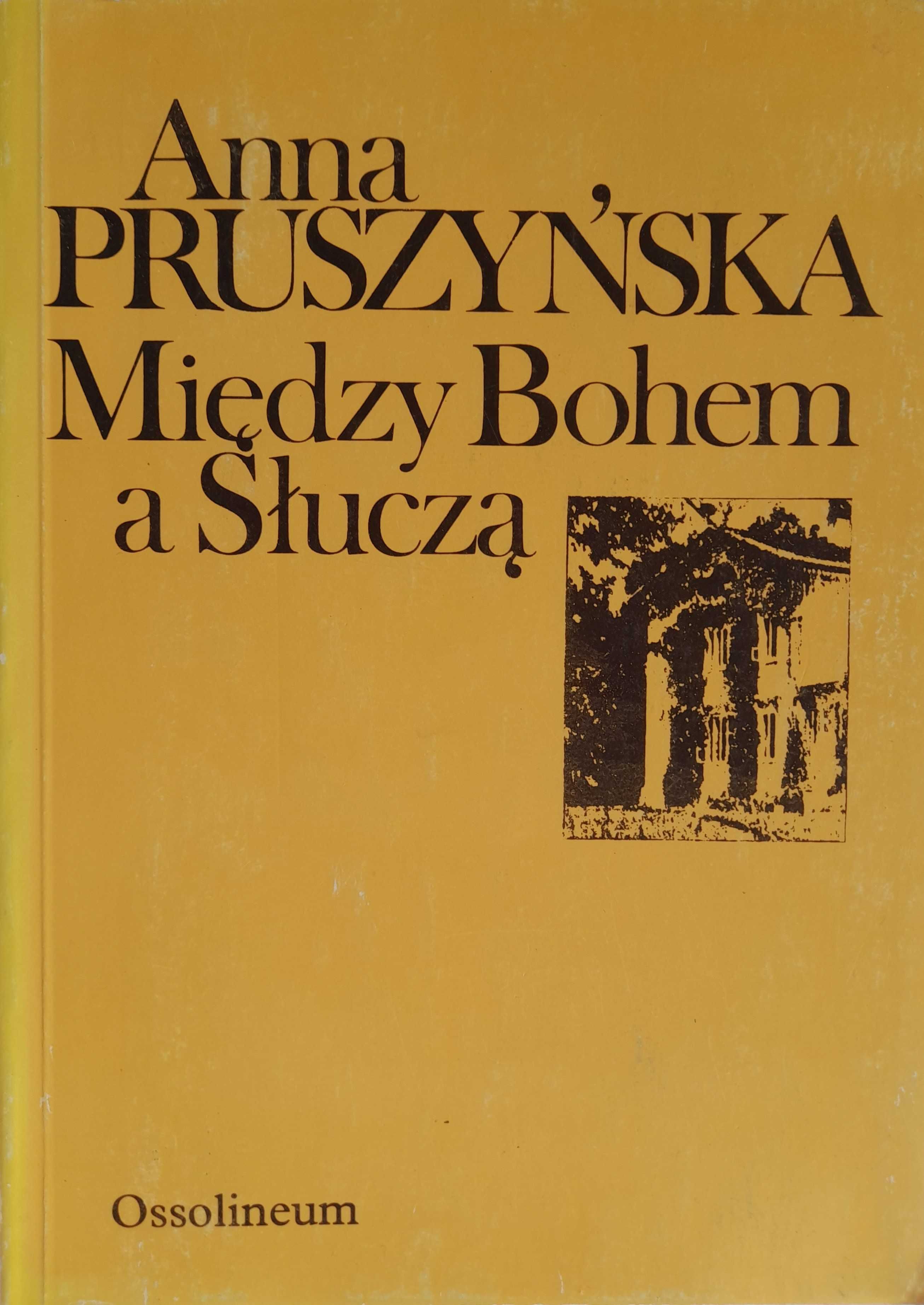 Między Bohem a Słuczą - Anna Pruszyńska