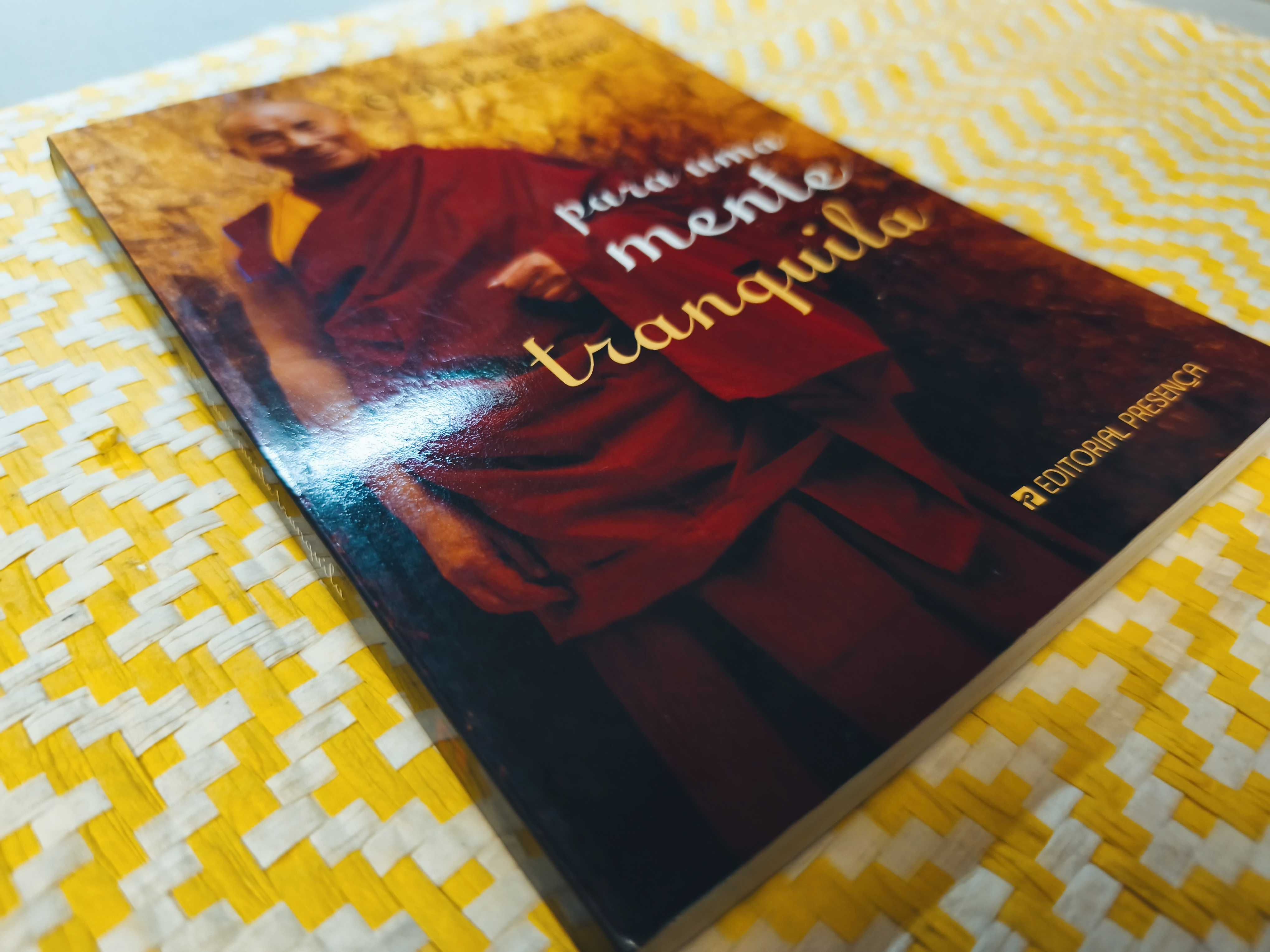 Para uma mente tranquila – 
SS Dalai Lama