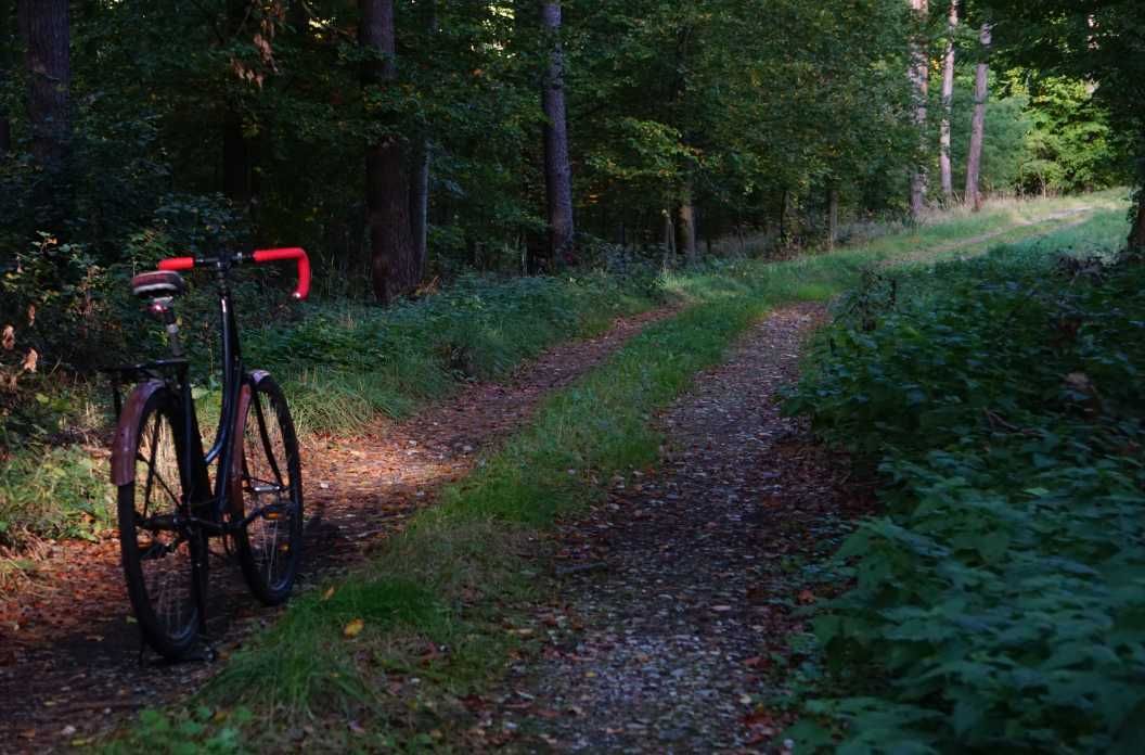 The Cycling Dutchman