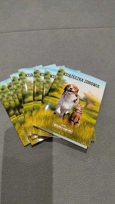 Szczeniaki mieszańce