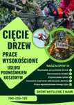 Wycinanie, przycinanie drzew, usługi podnośnikiem koszowym