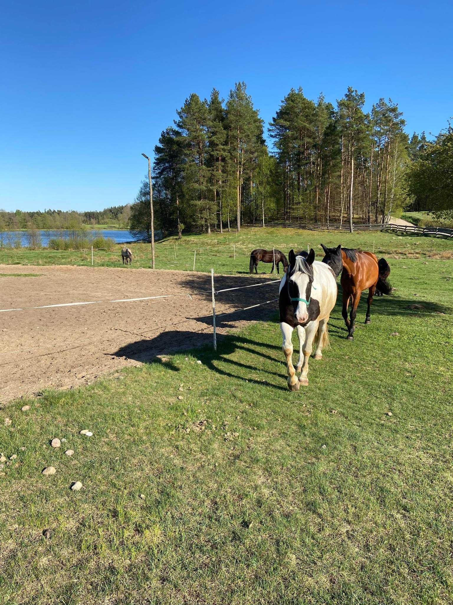 Domek nad jeziorem