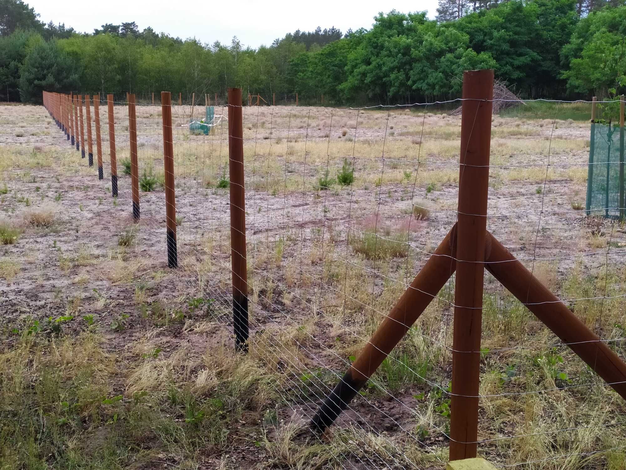 Ogrodzenia z siatki leśnej tymczasowe, budowlane 14zł/mb PHU MATT