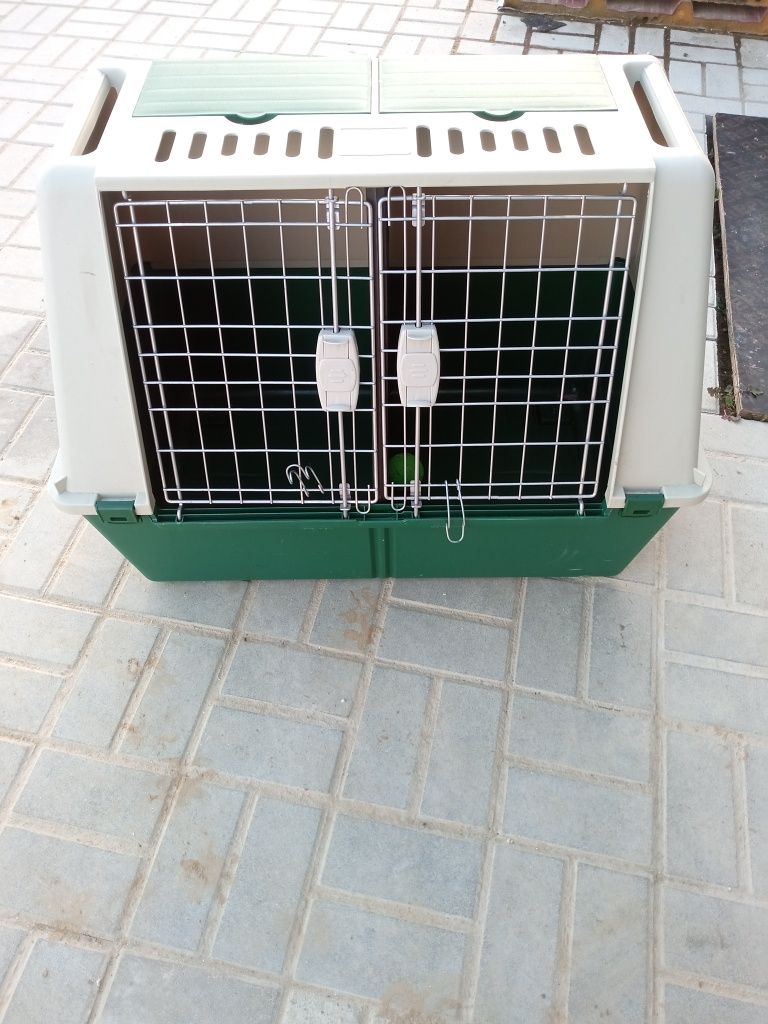 Transportadora cão