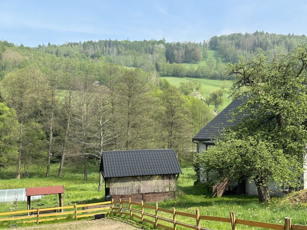 Noclegi Agroturystyka Alpaka Konradów majówka wakacje