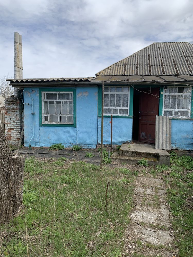Будинок в селі Олишівка,недалеко від Чернігова.Власник.