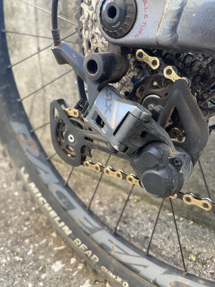 Orbea occam