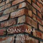 Cegła cięta płytki ze starej cegły