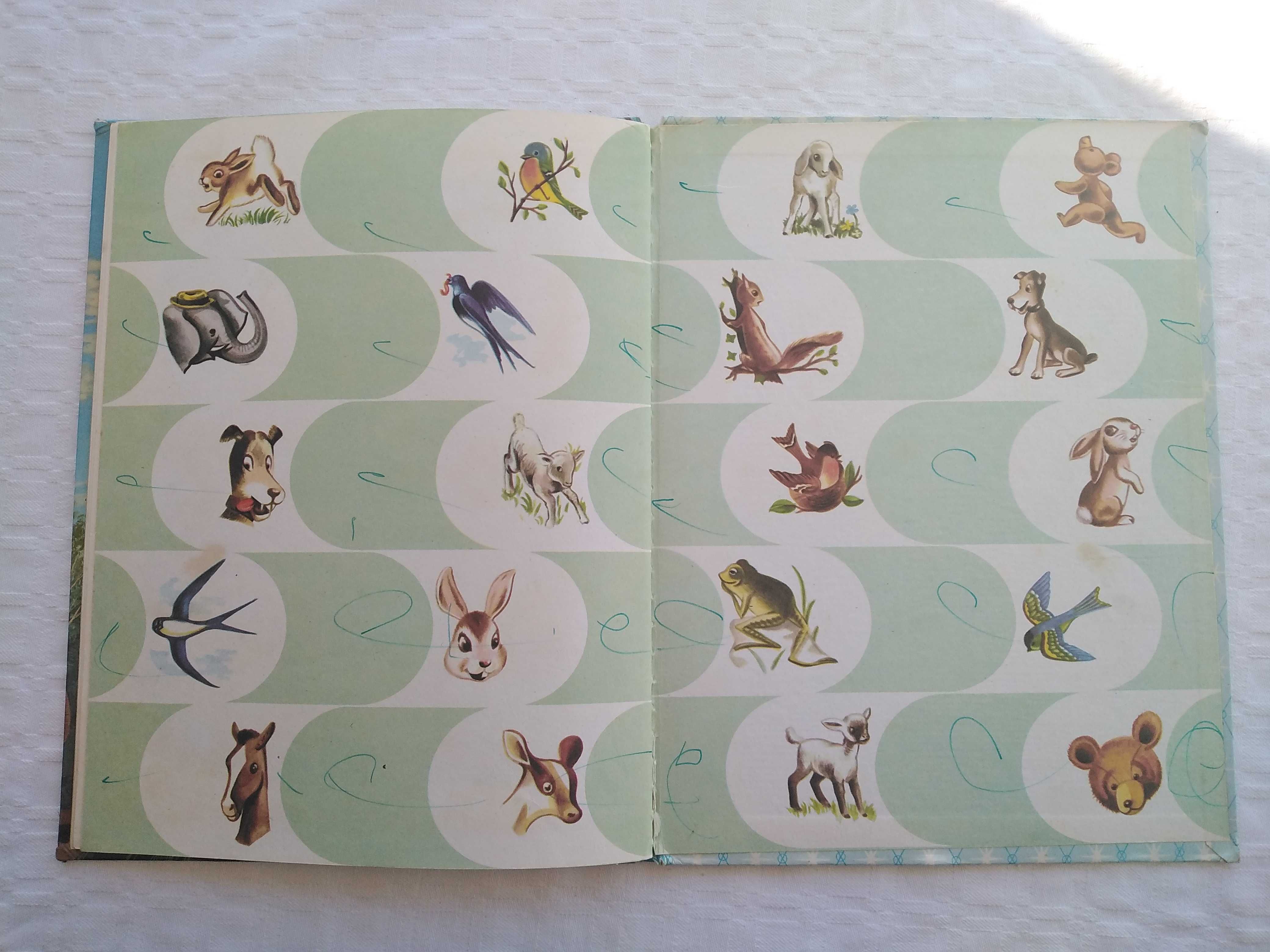 Livro Anita no Zoológico