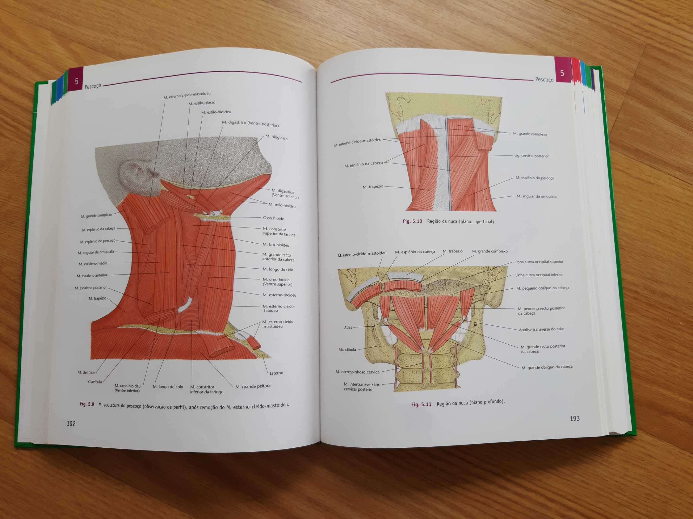 Atlas de anatomia