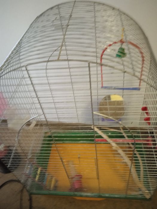 Велика клітка для папуг