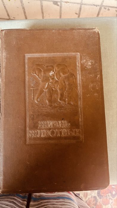 Брем Жизнь животных» 1931