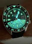 Seiko diver Earth mod GMT