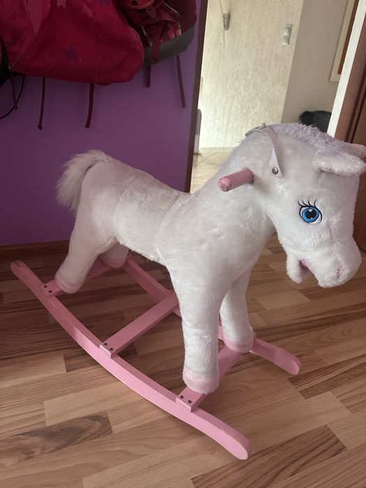 Konik na biegunach