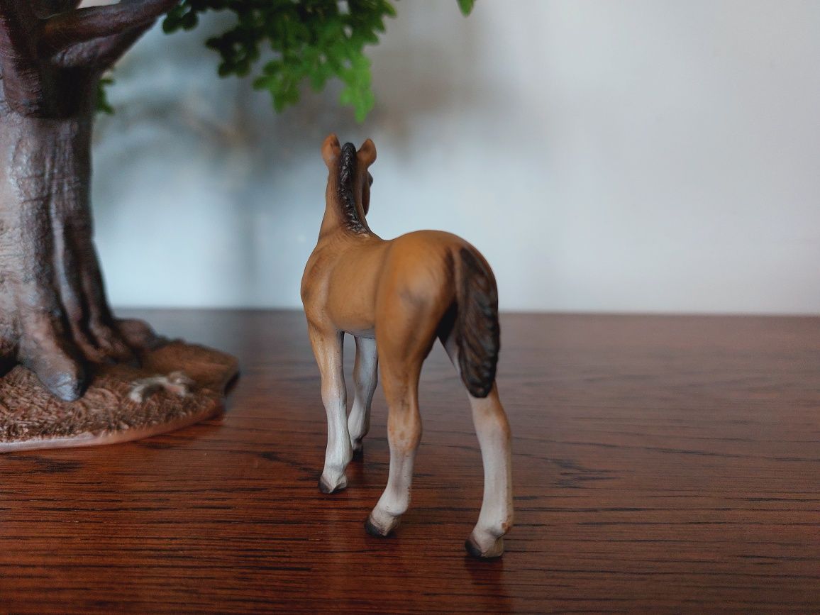 Źrebak hanowerski schleich