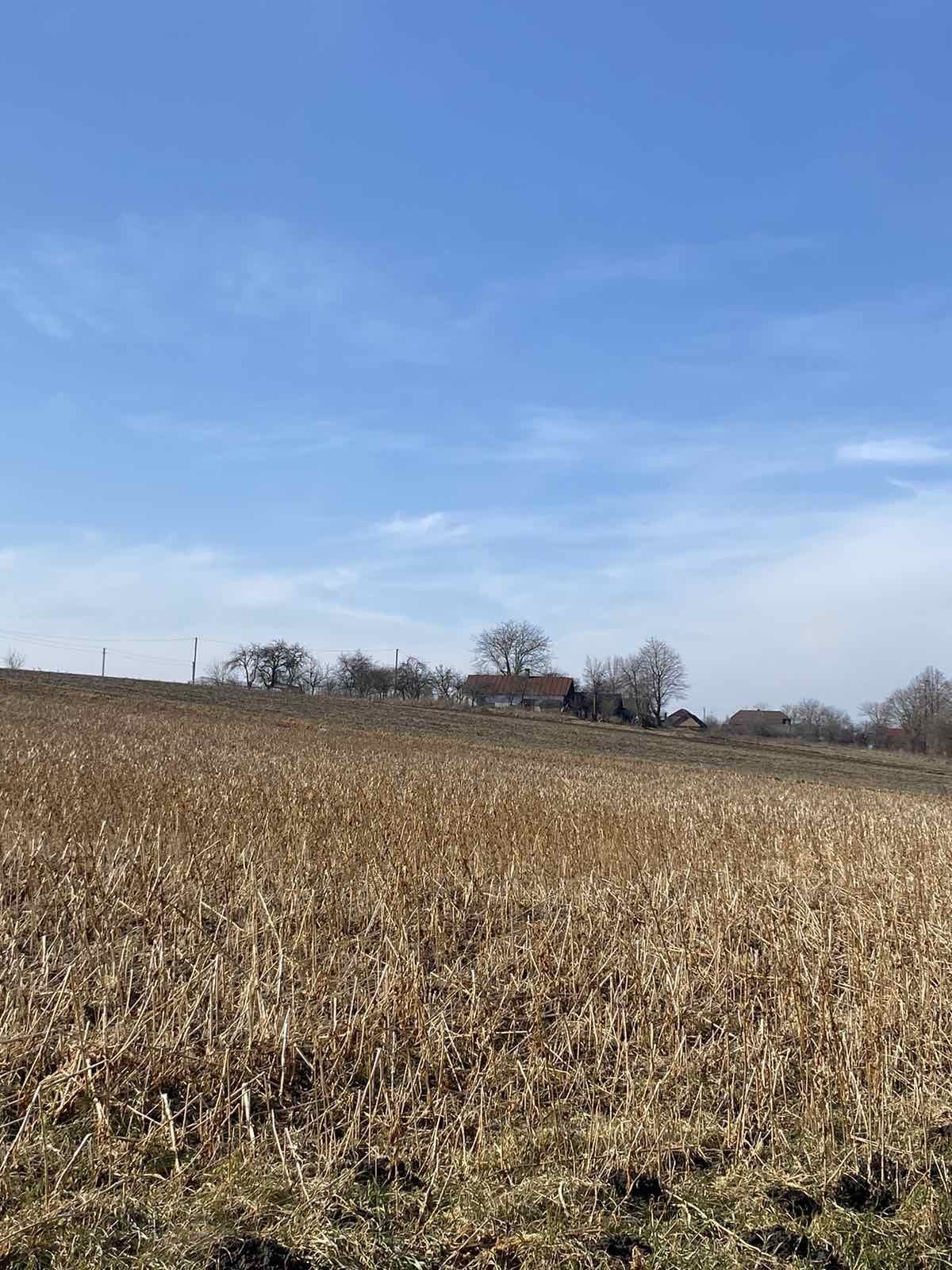 Земельна ділянка в с. Ясининичі біля ставків.