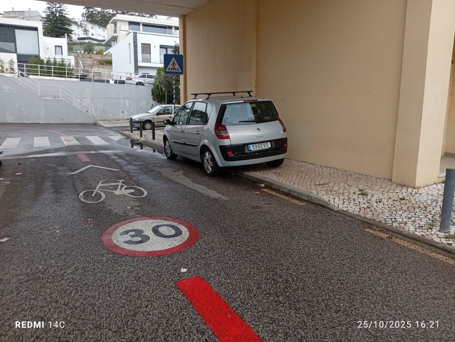 Renault Scenic .