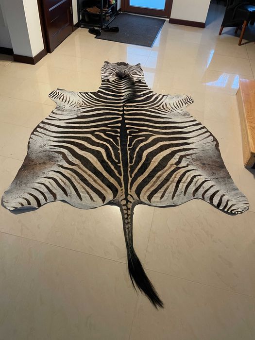 Zebra - oryginalna skóra z zebry na sprzedaż